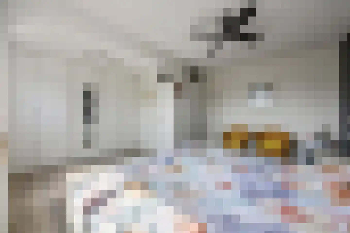 Klaphek 1 a Huissen thumbnail 22