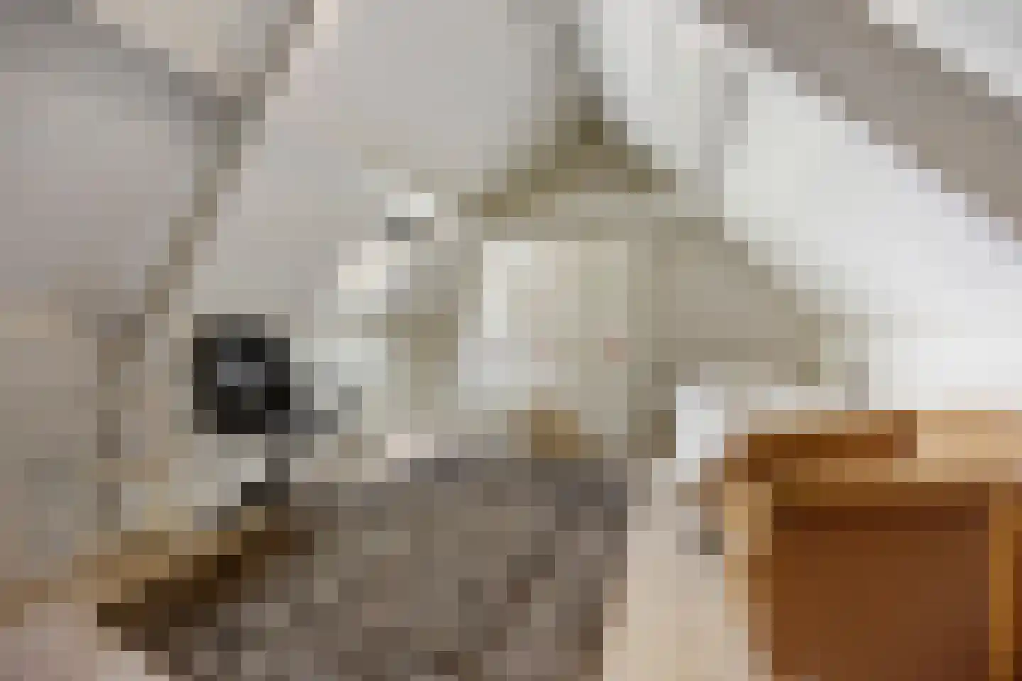 Klaphek 1 a Huissen thumbnail 23