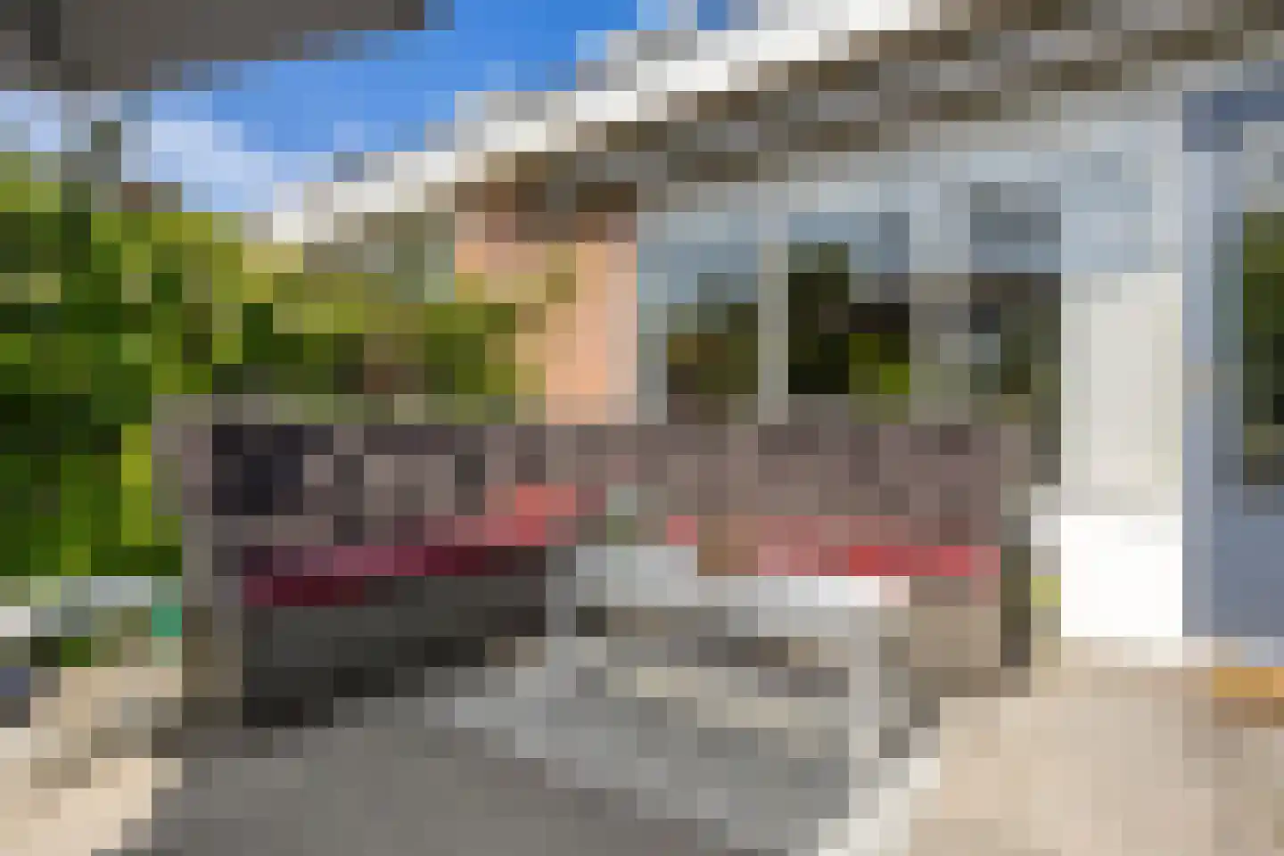 Klaphek 1 a Huissen thumbnail 25