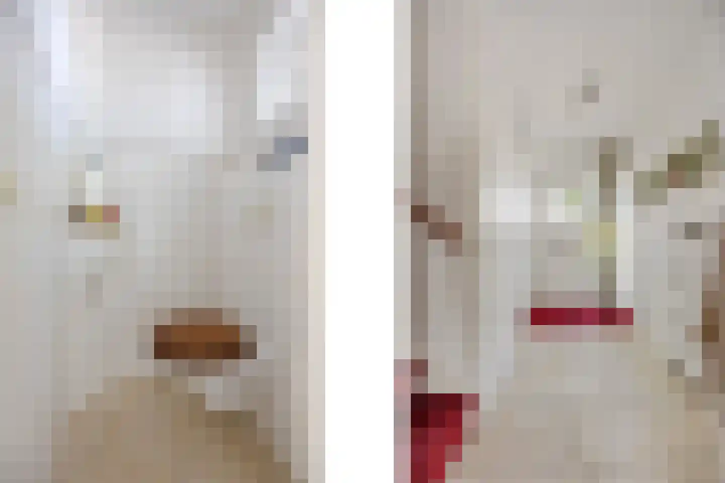 Klaphek 1 a Huissen thumbnail 6