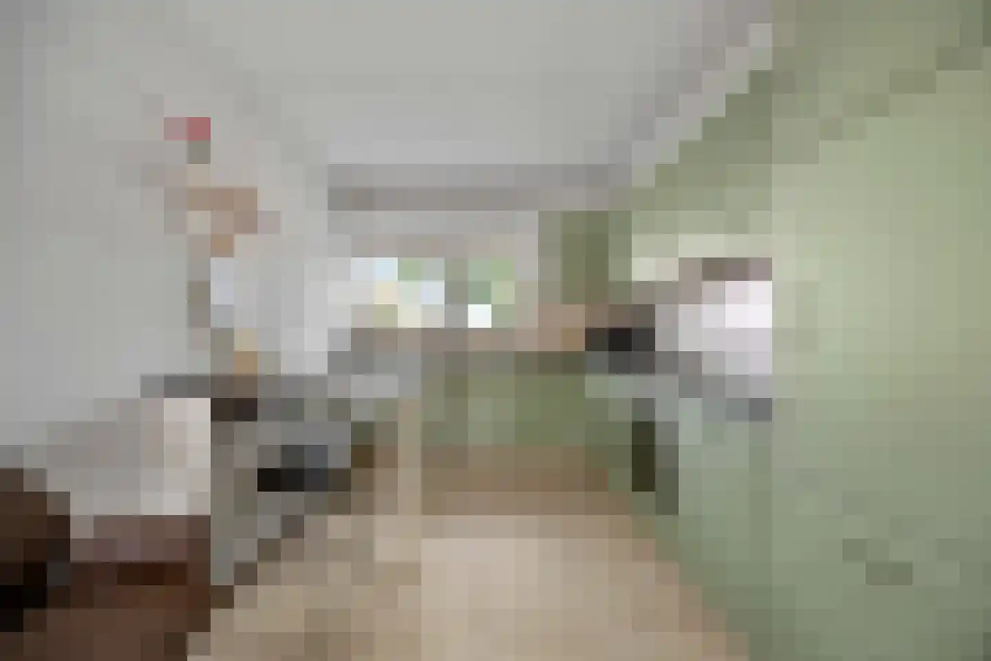 Klaphek 1 a Huissen thumbnail 7