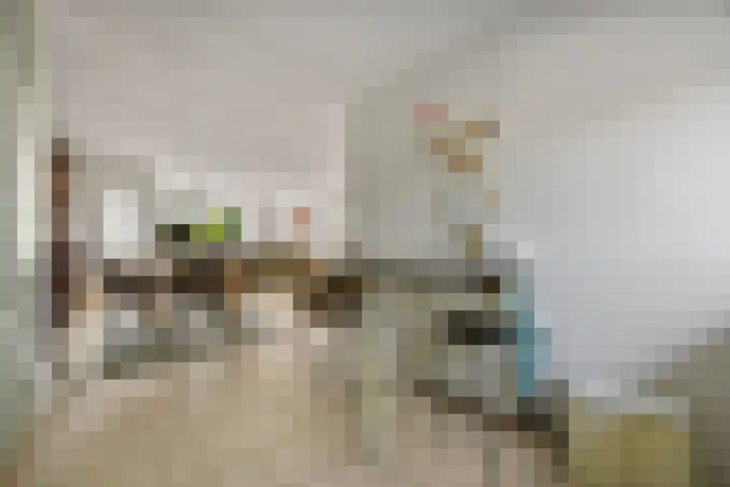Klaphek 1 a Huissen thumbnail 8