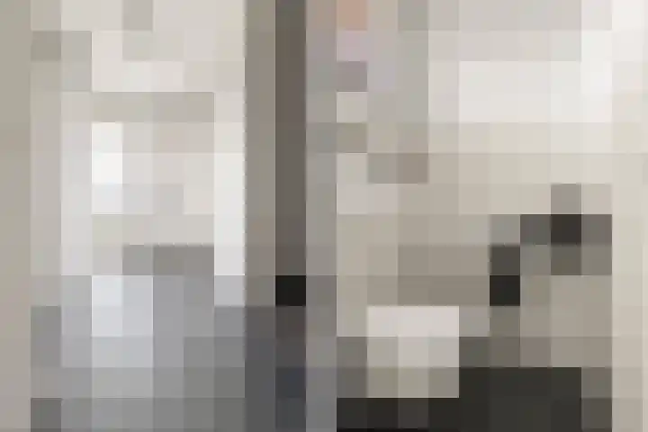 Klaphek 1 Huissen thumbnail 11