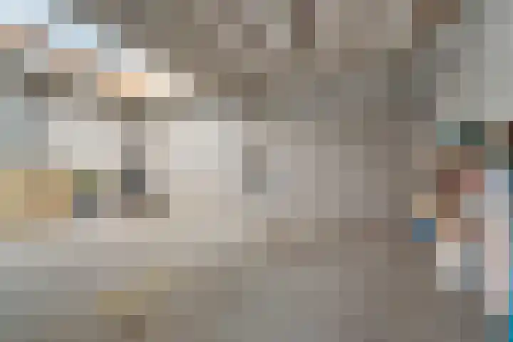 Klaphek 1 Huissen thumbnail 14