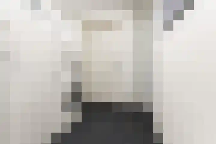 Klaphek 1 Huissen thumbnail 16