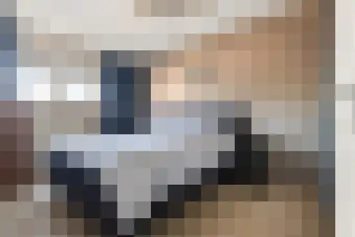 Klaphek 1 Huissen thumbnail 19