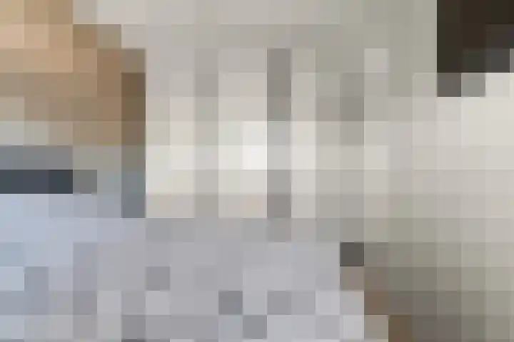 Klaphek 1 Huissen thumbnail 20