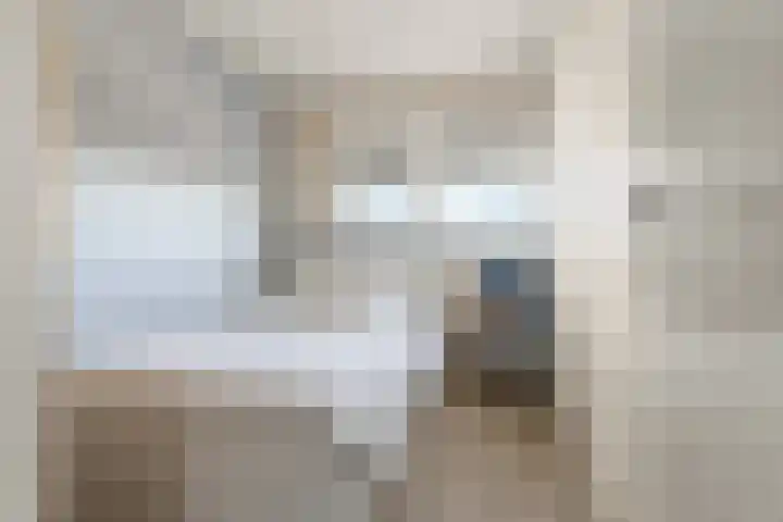 Klaphek 1 Huissen thumbnail 23