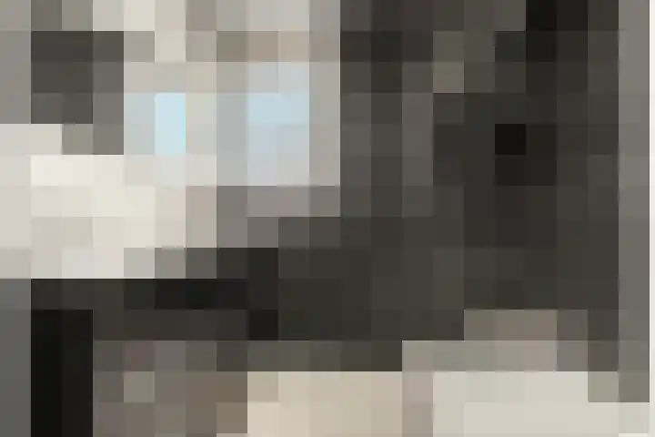 Klaphek 1 Huissen thumbnail 25
