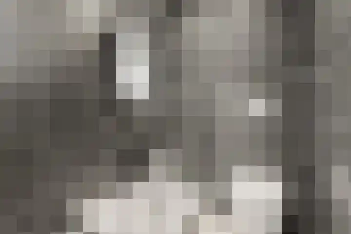 Klaphek 1 Huissen thumbnail 26