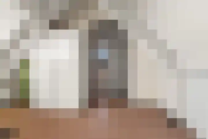 Klaphek 1 Huissen thumbnail 31