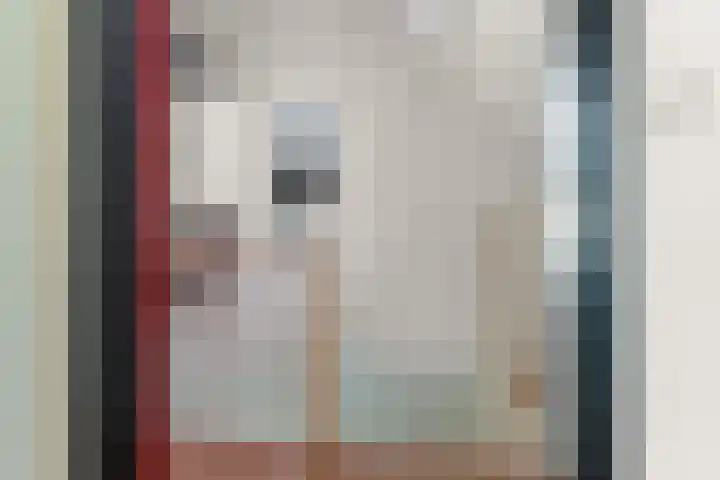 Klaphek 1 Huissen thumbnail 32