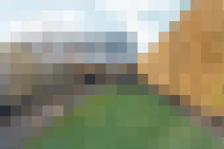 Klaphek 1 Huissen thumbnail 34