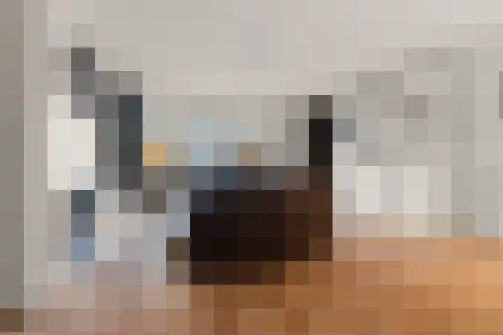 Klaphek 1 Huissen thumbnail 4