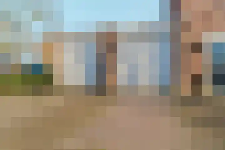 Klaphek 1 Huissen thumbnail 42