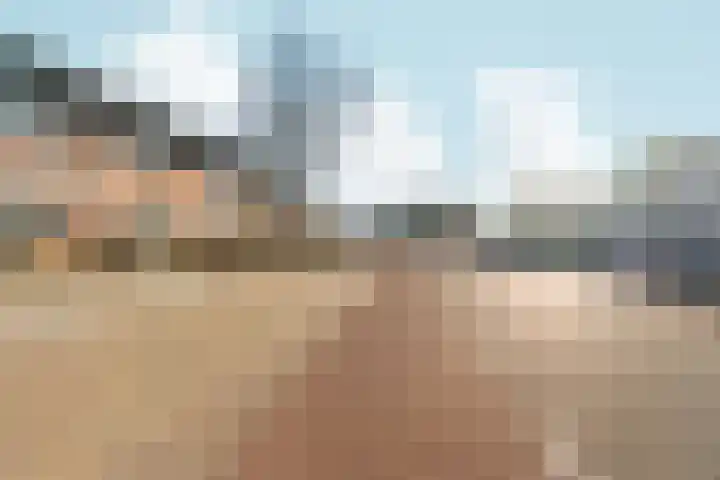 Klaphek 1 Huissen thumbnail 45