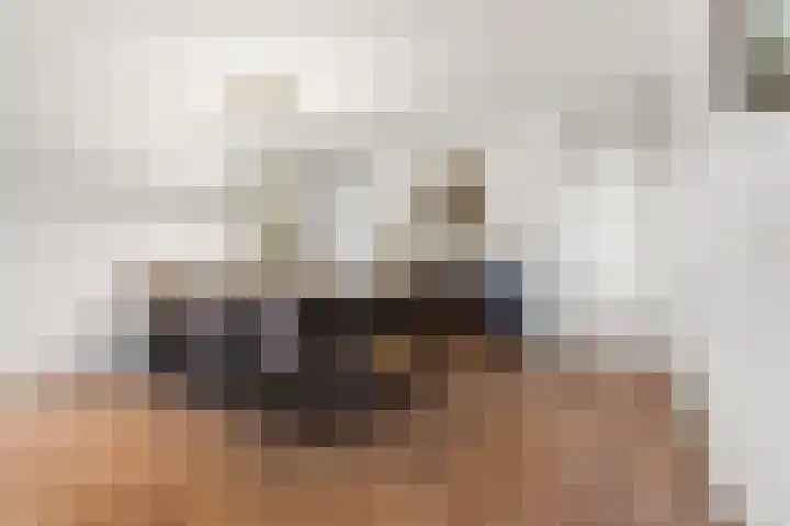Klaphek 1 Huissen thumbnail 7