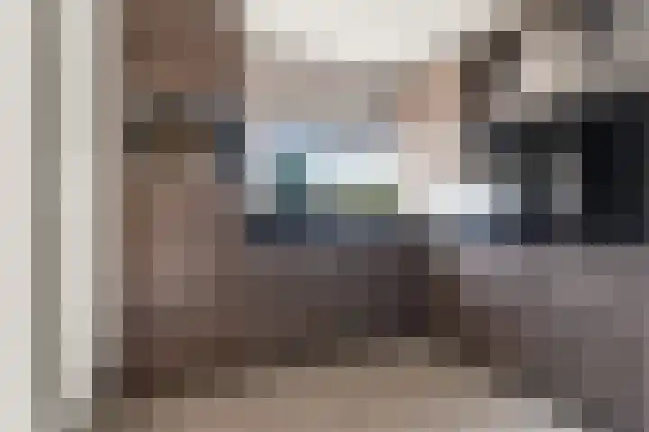 Klaphek 1 Huissen thumbnail 8