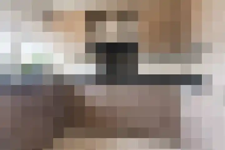 Klaphek 1 Huissen thumbnail 9