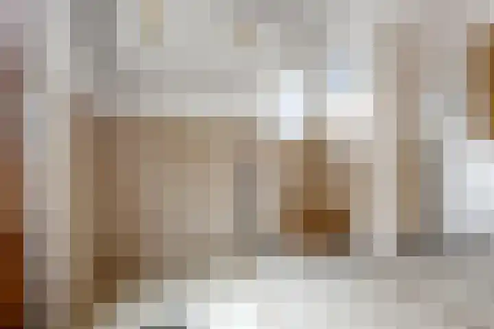 Klaphek 6 Huissen thumbnail 11