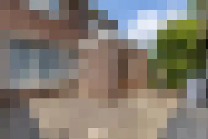 Klaphek 6 Huissen thumbnail 12