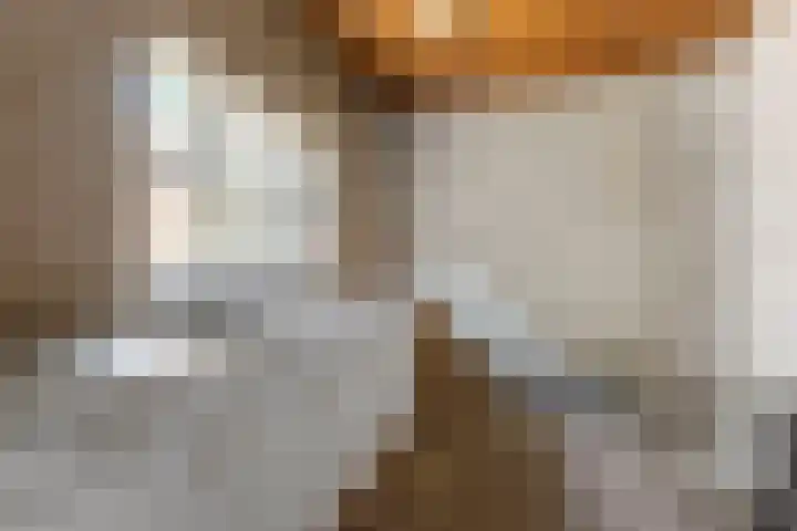 Klaphek 6 Huissen thumbnail 15