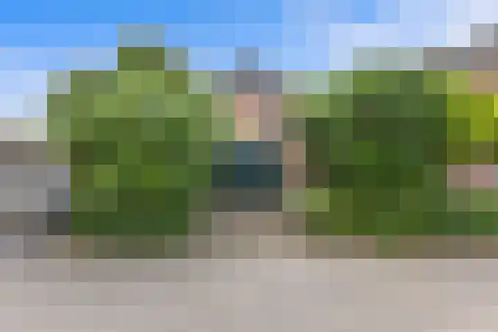 Klaphek 6 Huissen thumbnail 17