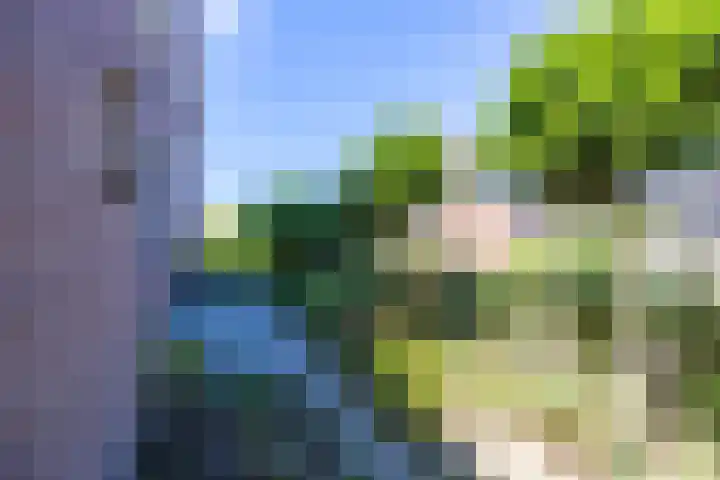 Klaphek 6 Huissen thumbnail 18