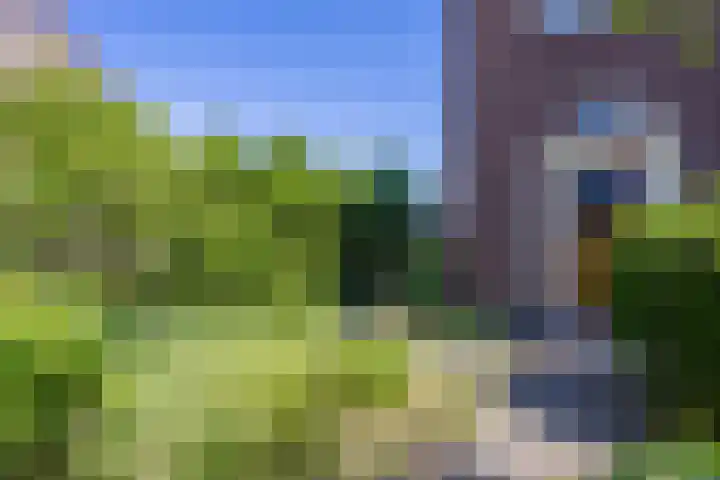 Klaphek 6 Huissen thumbnail 19