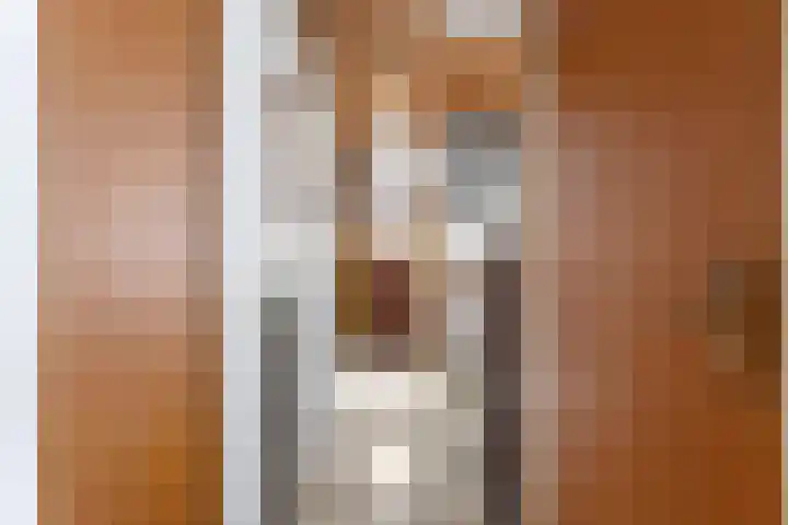 Klaphek 6 Huissen thumbnail 20