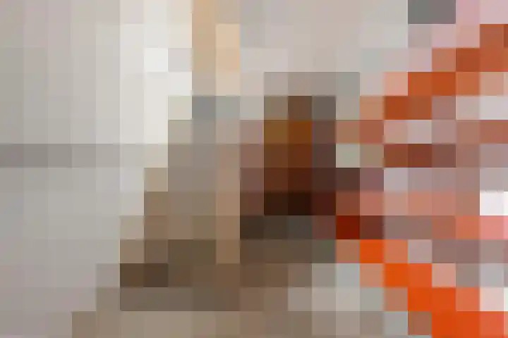 Klaphek 6 Huissen thumbnail 21