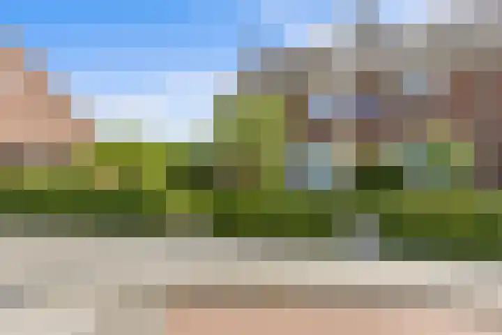 Klaphek 6 Huissen thumbnail 32