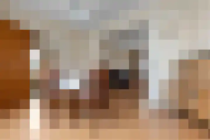 Klaphek 6 Huissen thumbnail 4