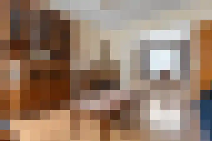 Klaphek 6 Huissen thumbnail 6