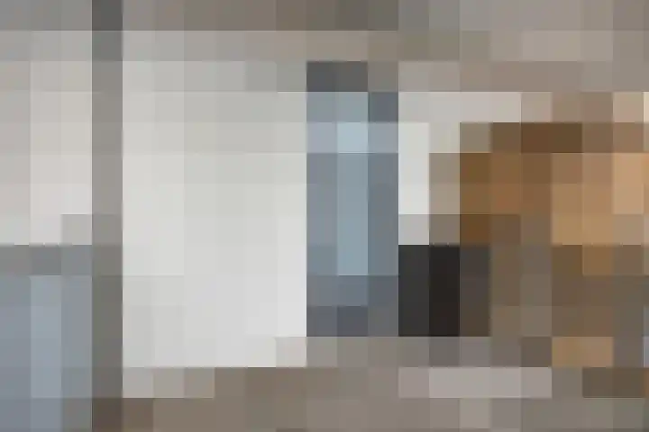 Klaphekkenstraat 12 A Oss thumbnail 26