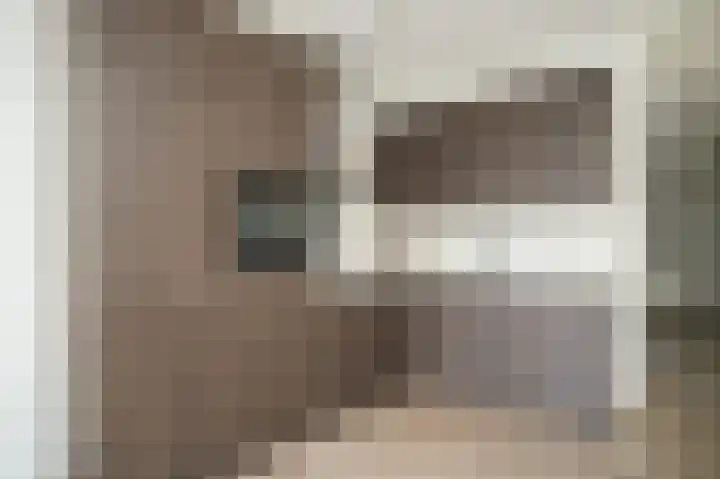 Klaphekkenstraat 12 B Oss thumbnail 17