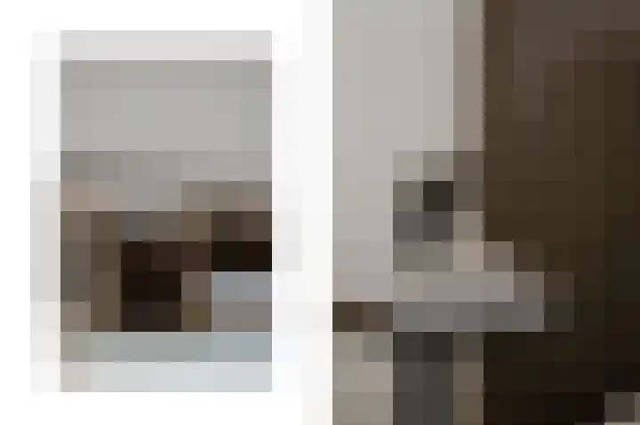Klaphekkenstraat 12 B Oss thumbnail 23