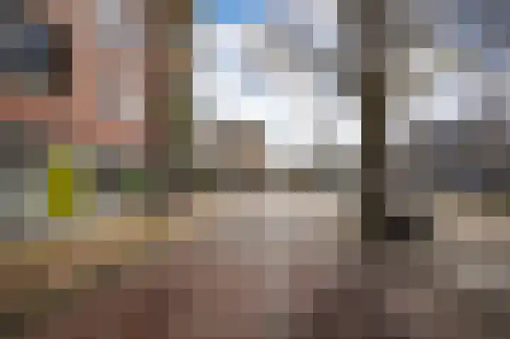 Klaphekkenstraat 12 B Oss thumbnail 30