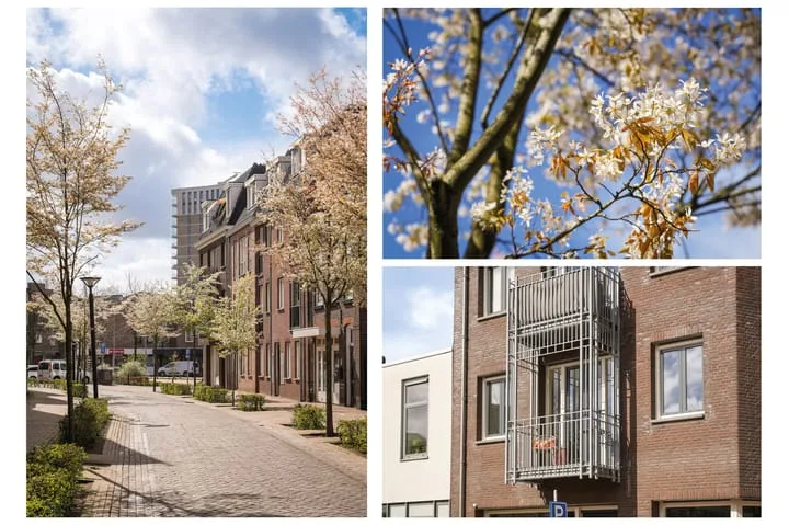 Klaphekkenstraat 12 B Oss thumbnail 6