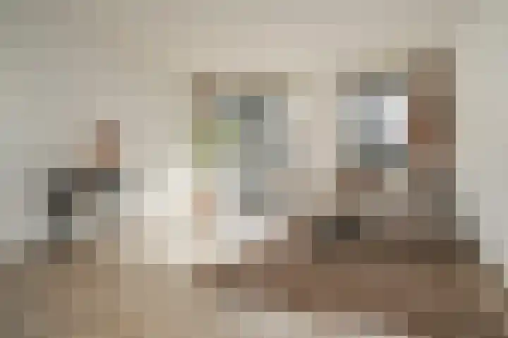 Klaphekkenstraat 12 B Oss thumbnail 9