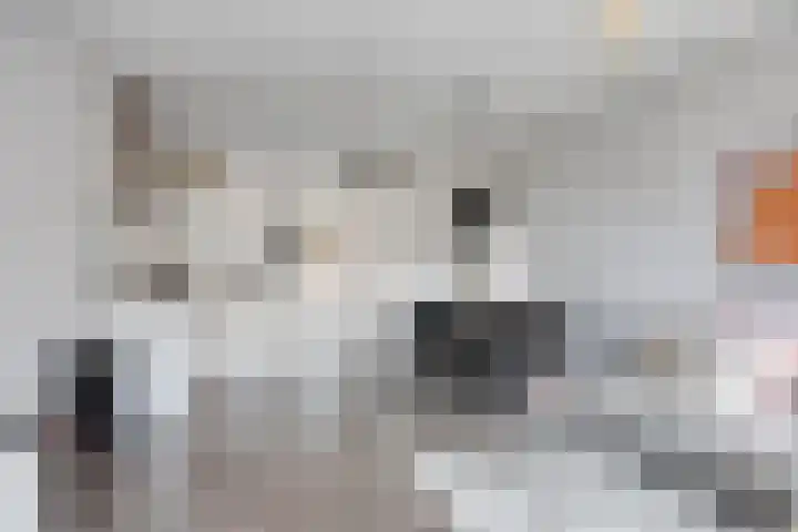 Klaphekkenstraat 12 D Oss thumbnail 14