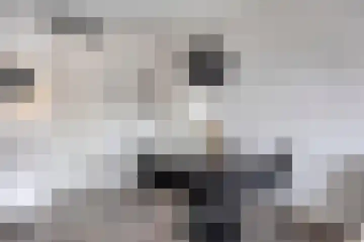 Klaphekkenstraat 12 D Oss thumbnail 15