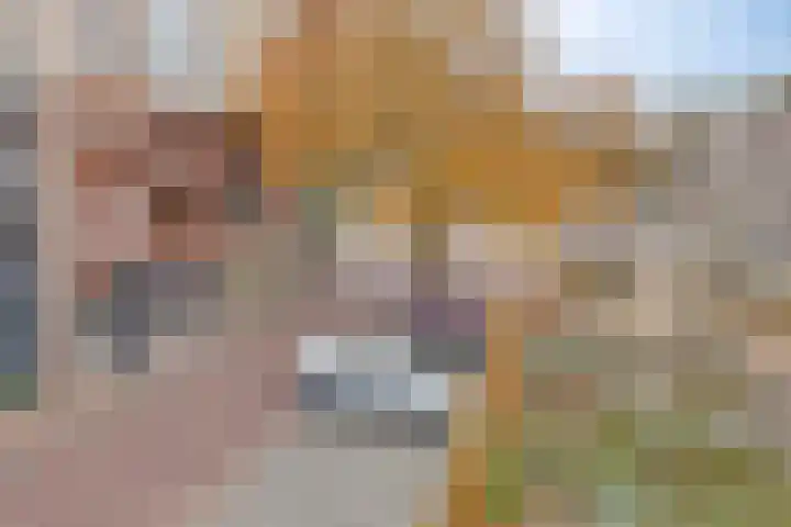 Klaphekkenstraat 12 D Oss thumbnail 18