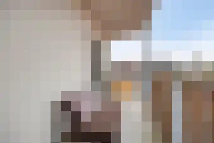 Klaphekkenstraat 12 D Oss thumbnail 22