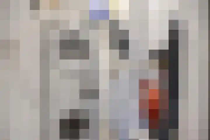 Klaphekkenstraat 12 D Oss thumbnail 23