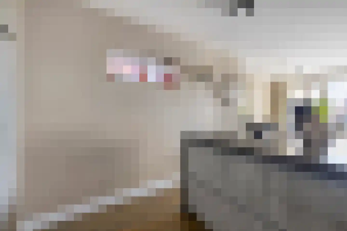 Klaphekkenstraat 7 D Oss thumbnail 10