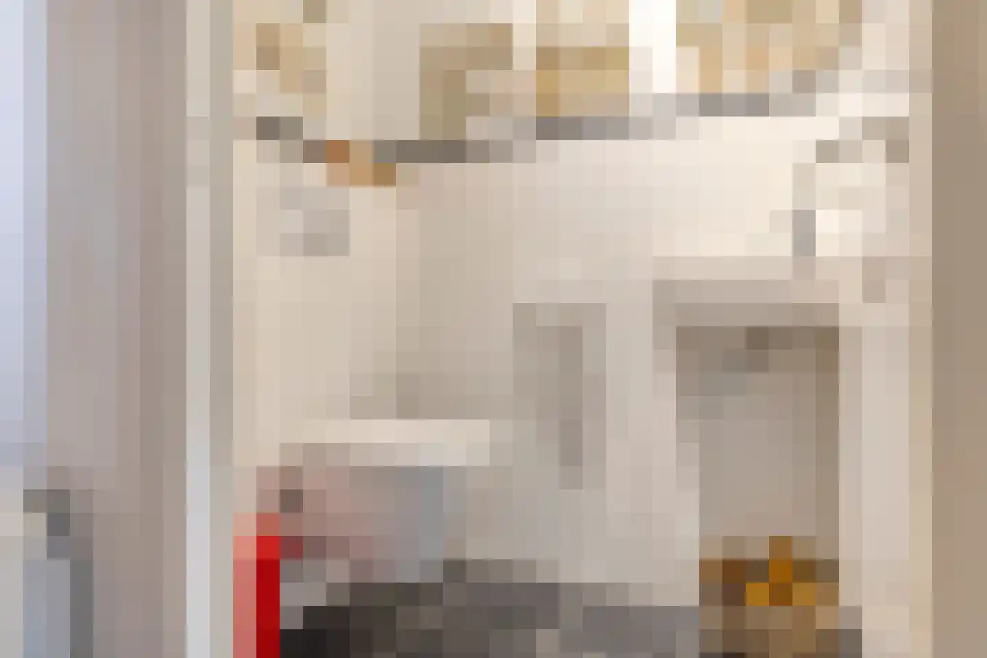 Klaphekkenstraat 7 D Oss thumbnail 12