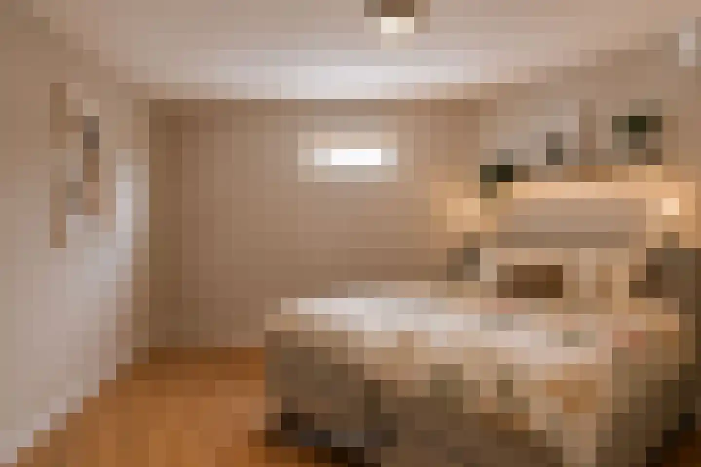 Klaphekkenstraat 7 D Oss thumbnail 15
