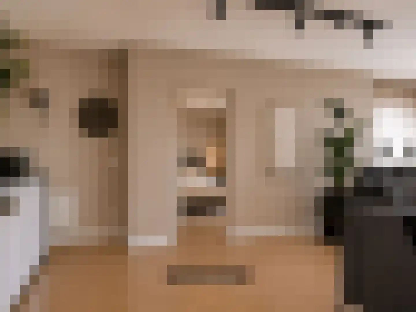 Klaphekkenstraat 7 D Oss thumbnail 6