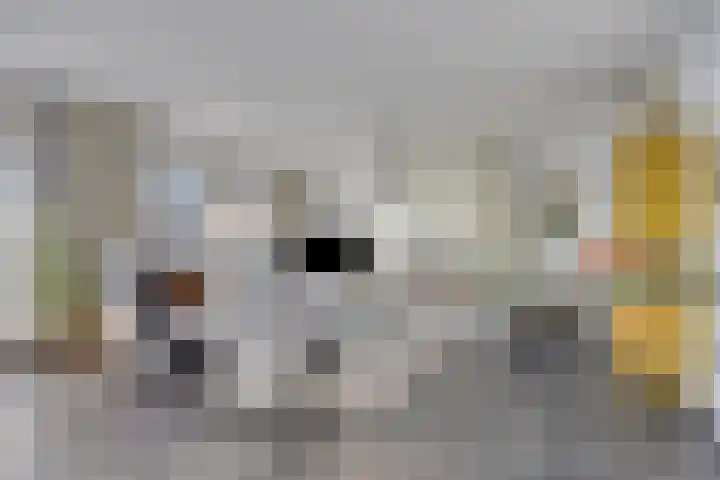 Klaphekkenstraat 7 G Oss thumbnail 10